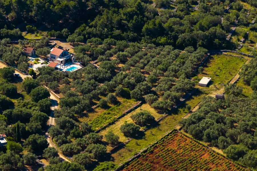 Villa Barbara